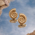 Shoreline Swirl