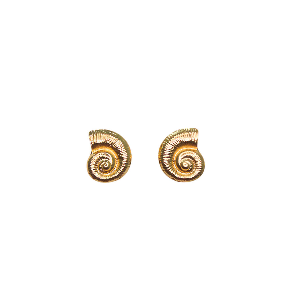 Shoreline Swirl
