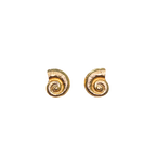 Shoreline Swirl