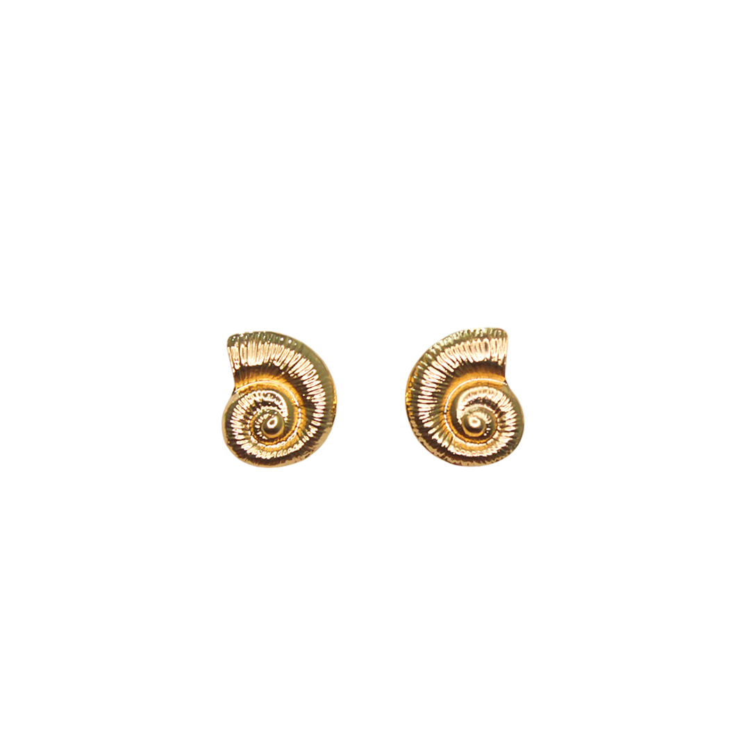 Shoreline Swirl